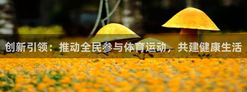 创新引领：推动全民参与体育运动，共建健康生活