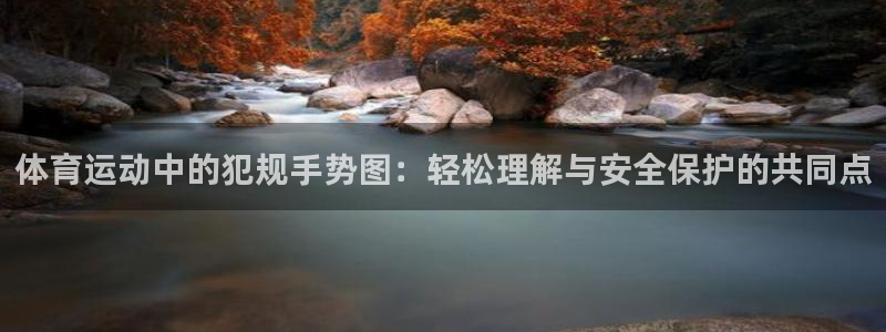 体育运动中的犯规手势图：轻松理解与安全保护的共同点