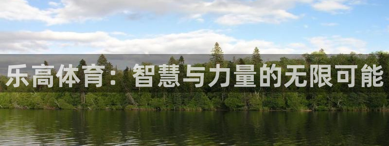 乐高体育：智慧与力量的无限可能