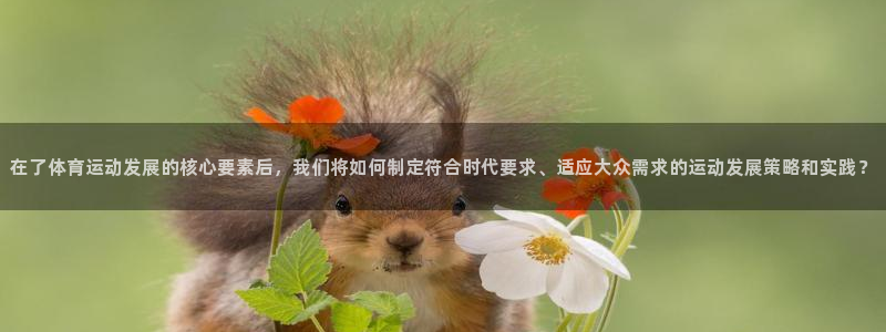 在了体育运动发展的核心要素后，我们将如何制定符合时代要求、适应大众需求的运动发展策略和实践？
