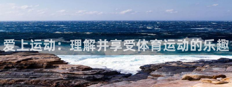 爱上运动：理解并享受体育运动的乐趣