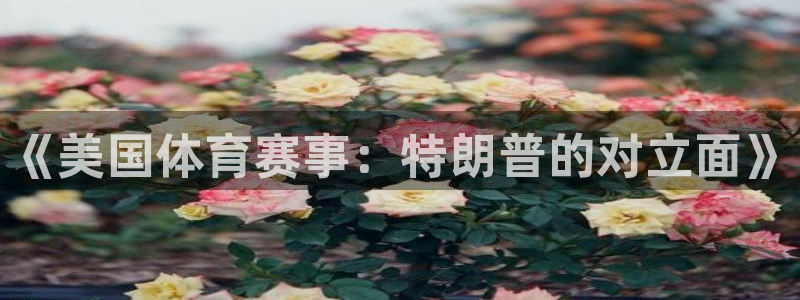 《美国体育赛事：特朗普的对立面》