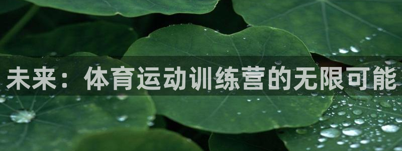 未来：体育运动训练营的无限可能