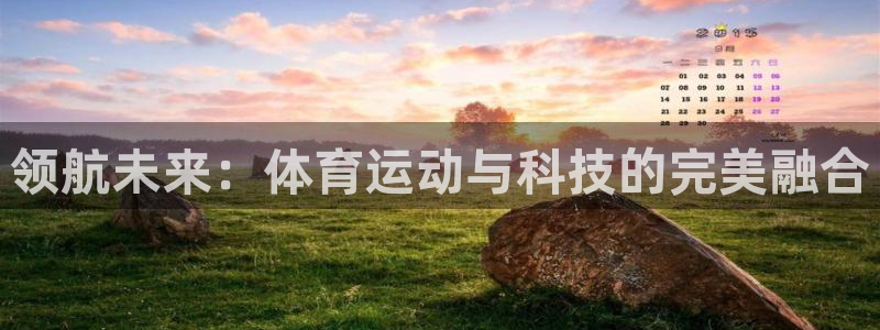领航未来：体育运动与科技的完美融合