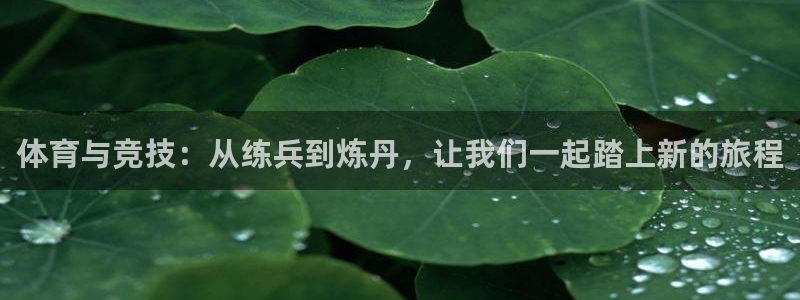体育与竞技：从练兵到炼丹，让我们一起踏上新的旅程