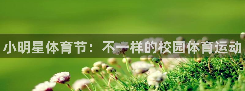 小明星体育节：不一样的校园体育运动