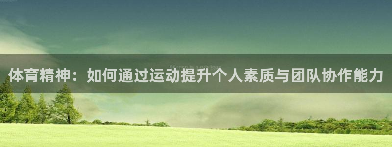 体育精神：如何通过运动提升个人素质与团队协作能力